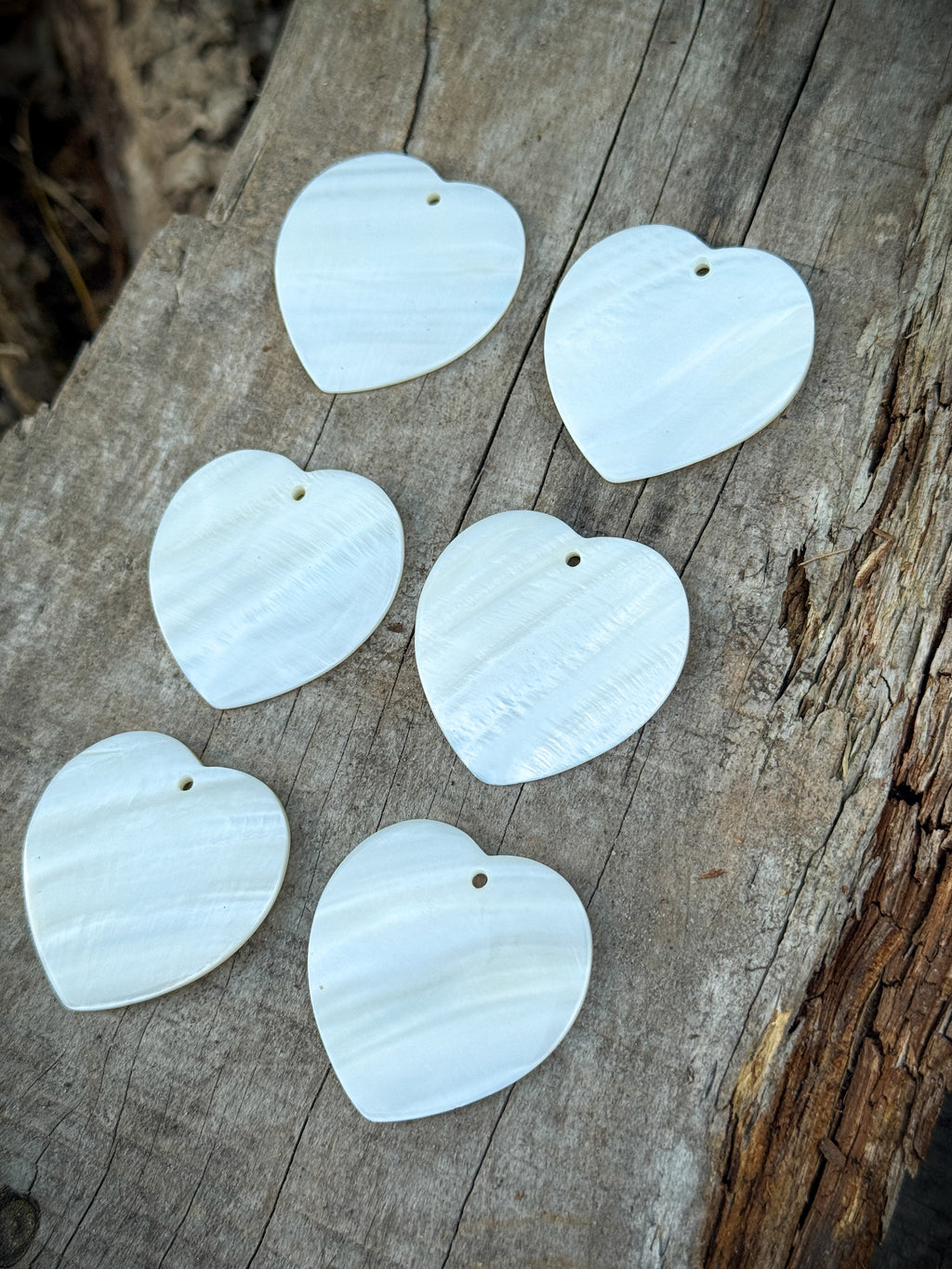 Heart Shell Centerpieces 40mm