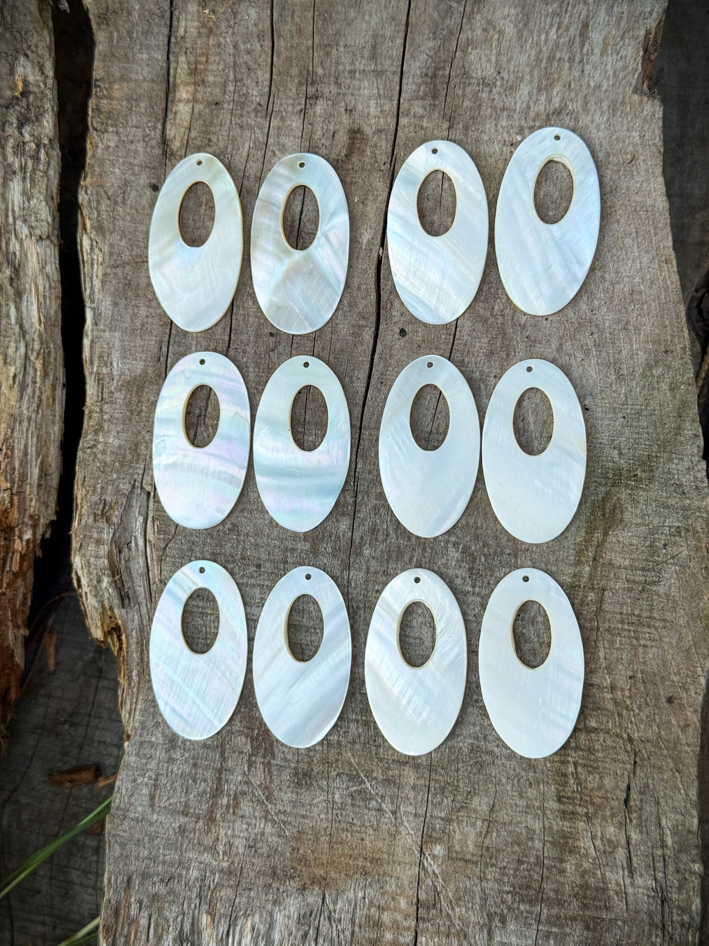 Shell Oval With Hollow Center Centerpieces 45x25mm