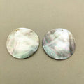 Brown/Grey Shell Round Centerpieces 40mm