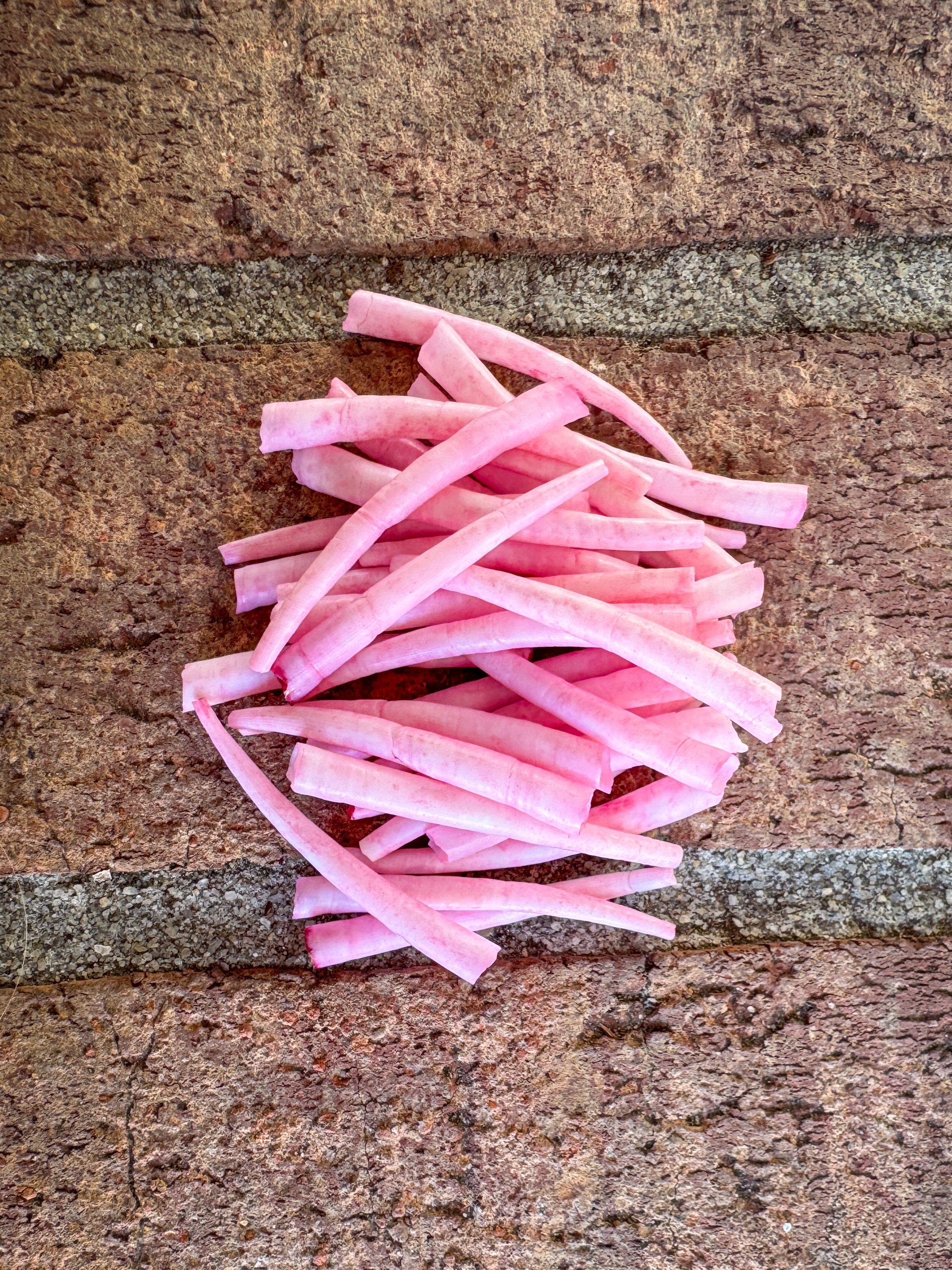 *READ DESCRIPTION* Unsealed Baby Berry Dyed Dentalium 1oz