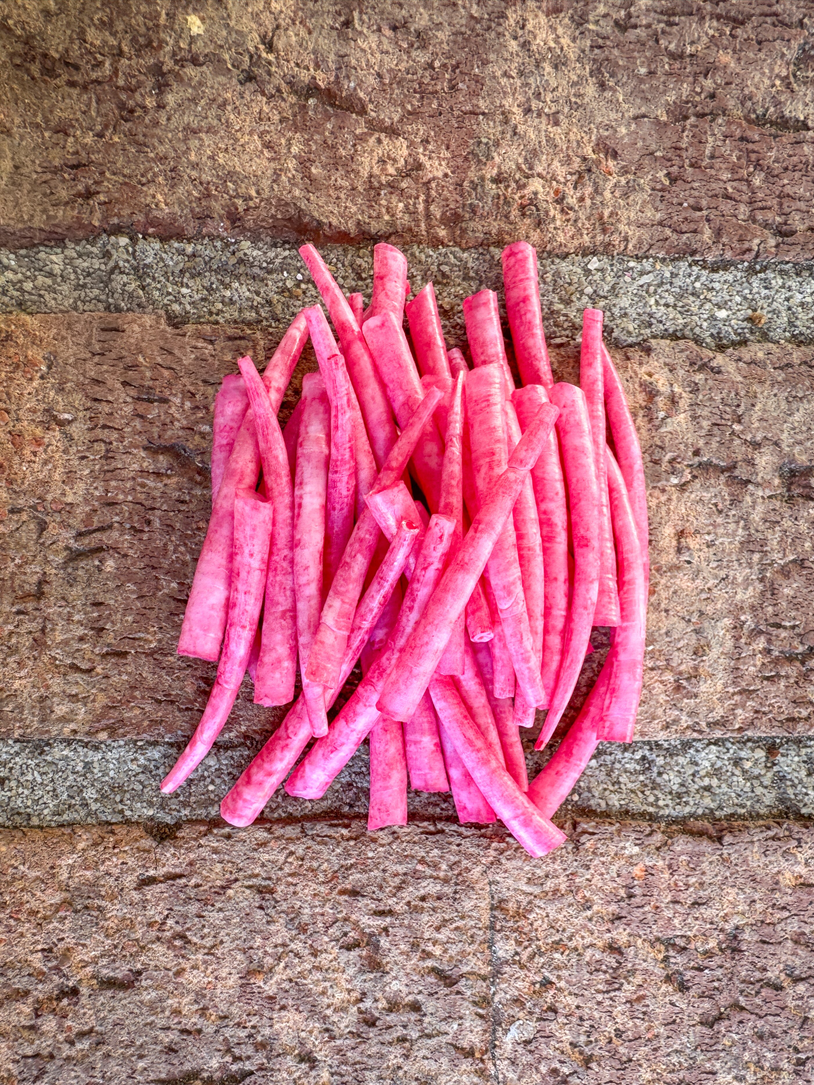 *READ DESCRIPTION* Unsealed Medium Berry Dyed Dentalium 1oz