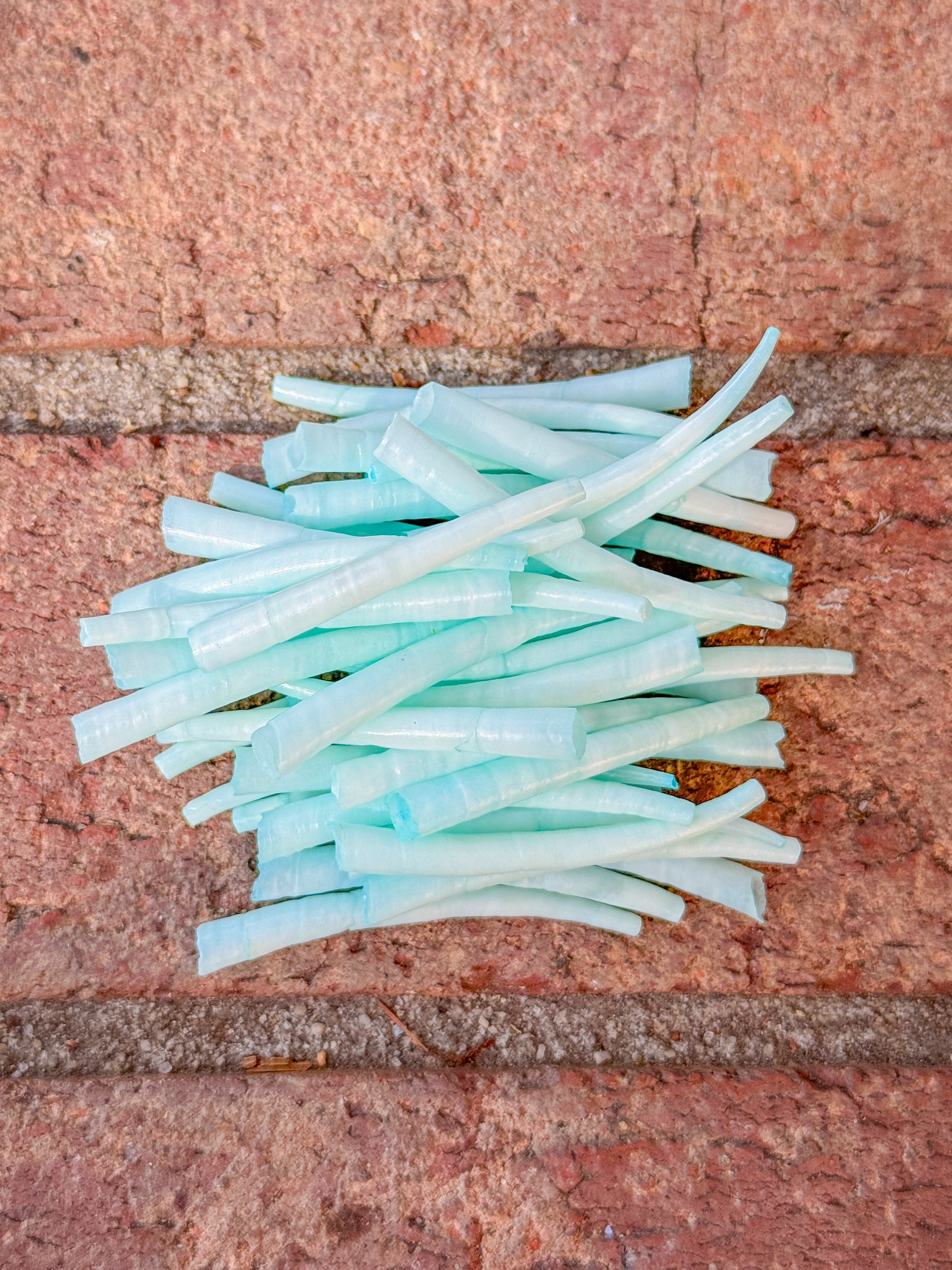 *READ DESCRIPTION* Unsealed Sea Moss Dyed Dentalium 1oz