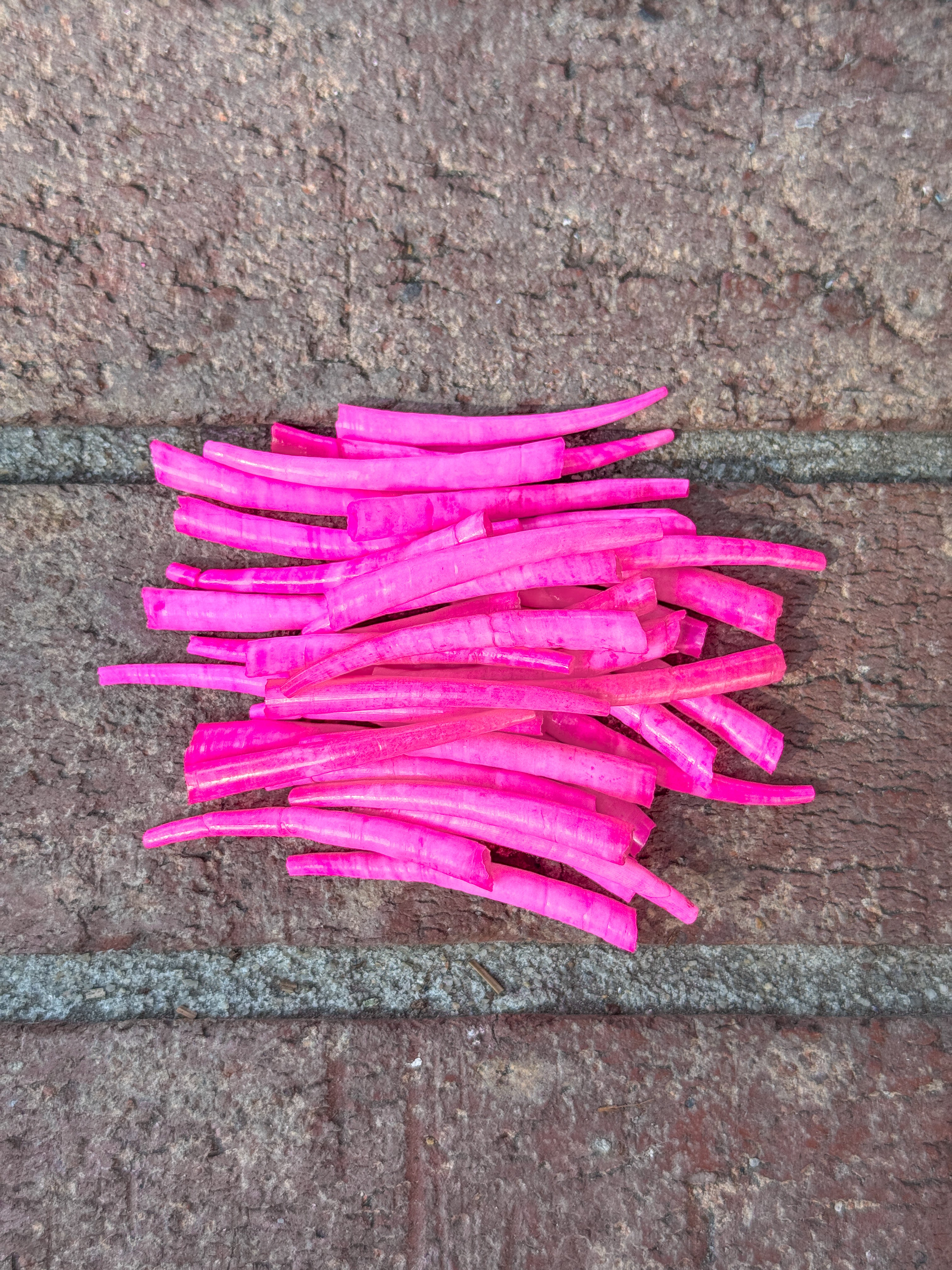 *READ DESCRIPTION* Unsealed Neon Pink Dyed Dentalium 1oz