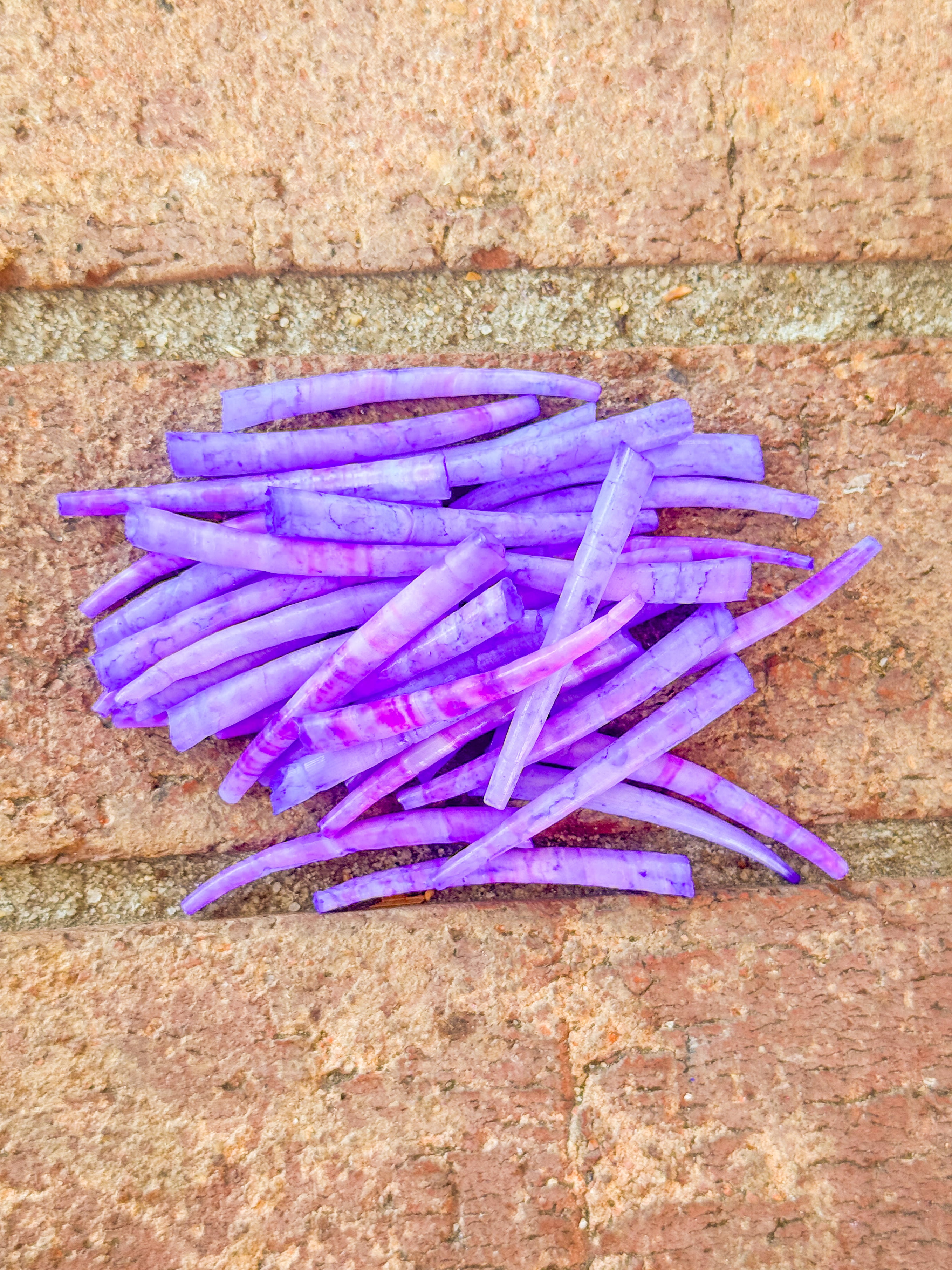 *READ DESCRIPTION* Unsealed Unicorn Dyed Dentalium 1oz