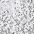 11/0 Miyuki Seed Beads Tube Apprx 8.5gm: White Ceylon