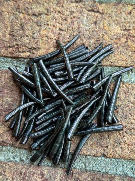 *READ DESCRIPTION* Unsealed Black Dyed Dentalium 1oz