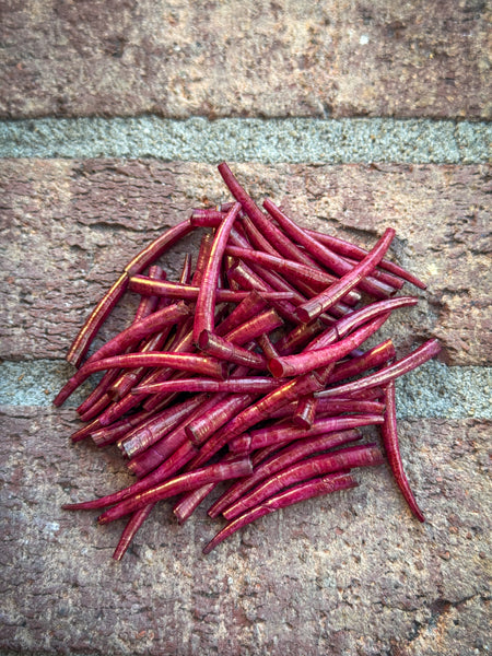 *READ DESCRIPTION* Unsealed Distressed Wine Dyed Dentalium 1oz