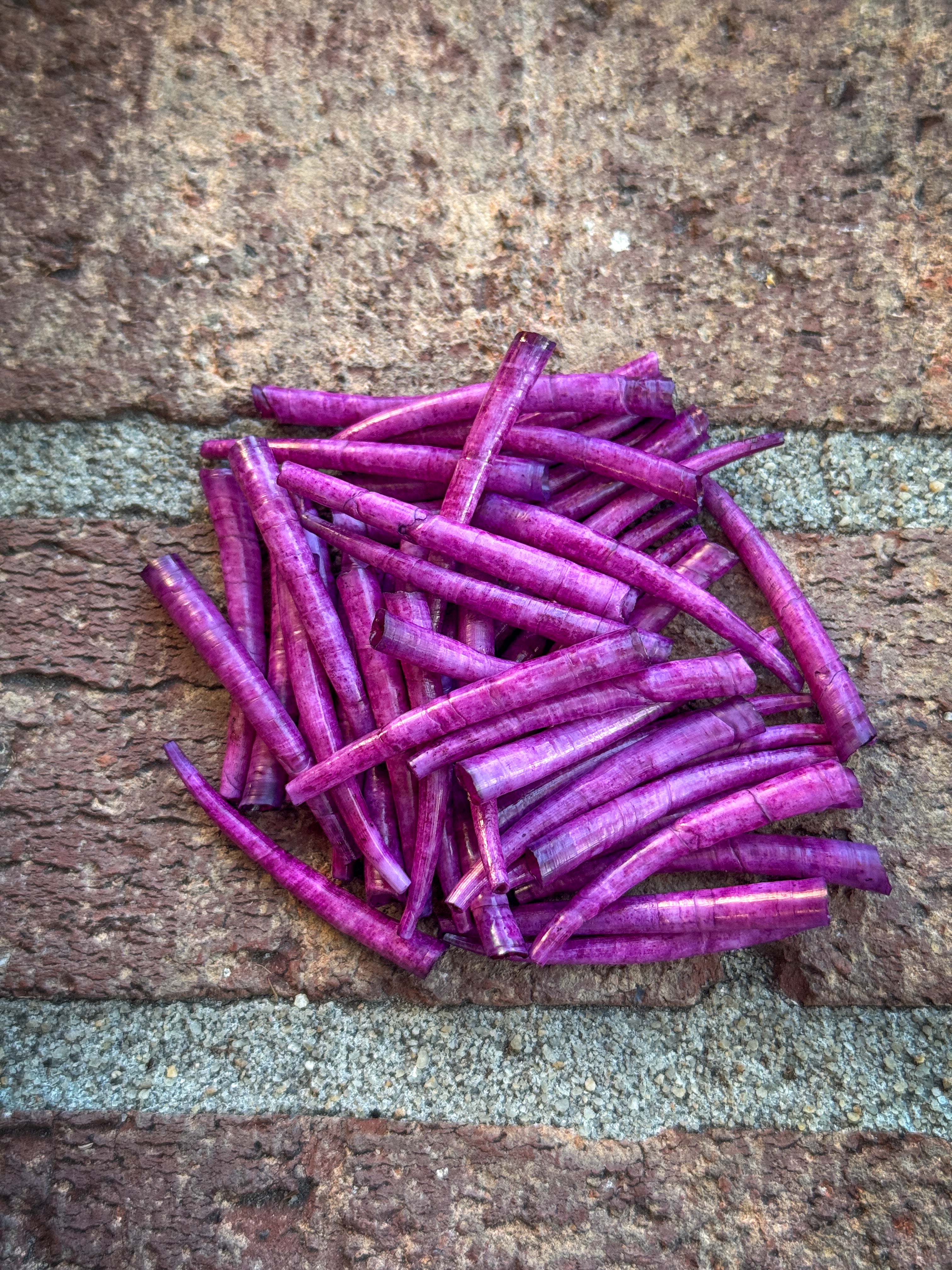 *READ DESCRIPTION* Unsealed Deep Lilac Dyed Dentalium 1oz