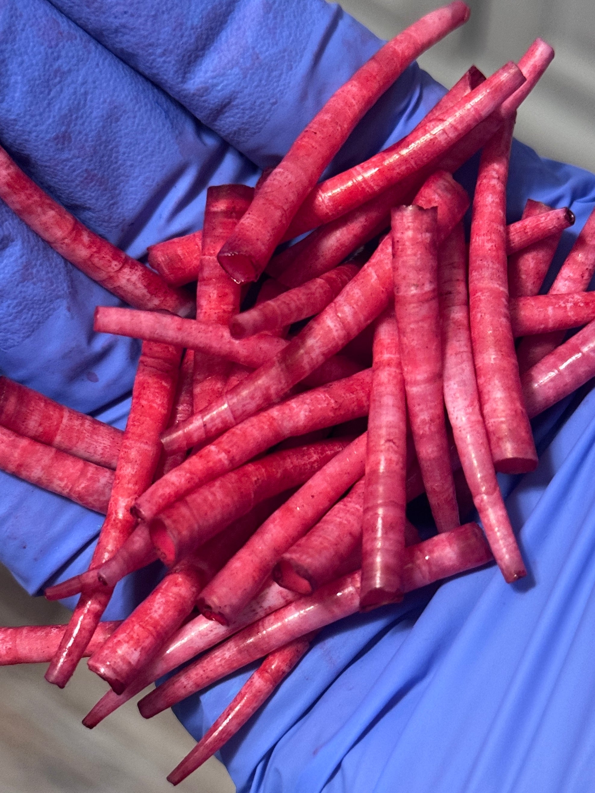 *READ DESCRIPTION* Unsealed Berry Dyed Dentalium 1oz