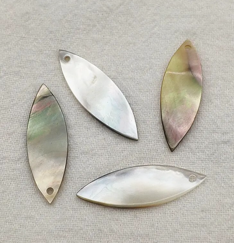 Horseeye Brown/Grey Shell Slabs 29x9mm