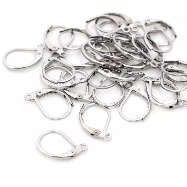 Stainless Steel Ear Hooks French Lever: 5 Pairs