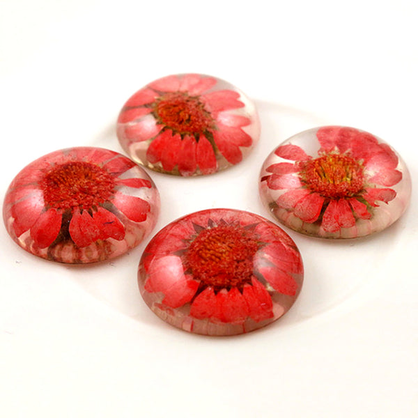 25mm Dried Flower Resin Centerpieces Red