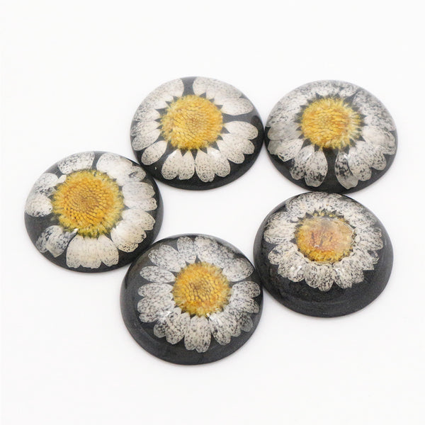 25mm Dried Flower Resin Centerpieces Black, White, & Yellow