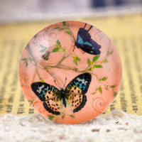 25mm Round Orange Butterfly Glass Cabochons