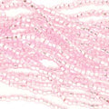 11/0 Czech Preciosa Seed Beads Half Hank: Pink Dyed S/L