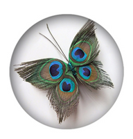 20mm Peacock Butterfly Glass Cabochon