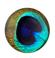 20mm Peacock Feather Glass Cabochon