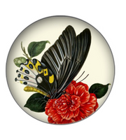 20mm Floral Butterfly Glass Cabochon