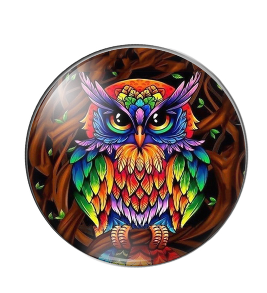 20mm Rainbow Colored Owl Glass Cabochon