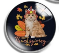 12mm or 16mm Cat Happy Thanksgiving Glass Cabochon