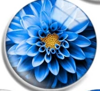 20mm Blue Floral Glass Cabochons