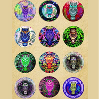 12 Pairs 20mm Owl Glass Cabochon Bulk Discount Pack