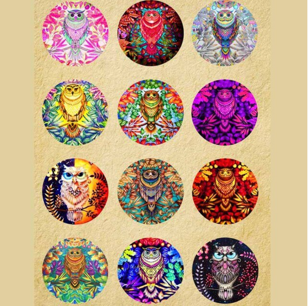 12 Pairs 20mm Owl Glass Cabochon Bulk Discount Pack