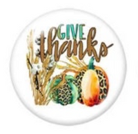 20mm Give Thanks Fall Leopard Pumpkins Glass Cabochons