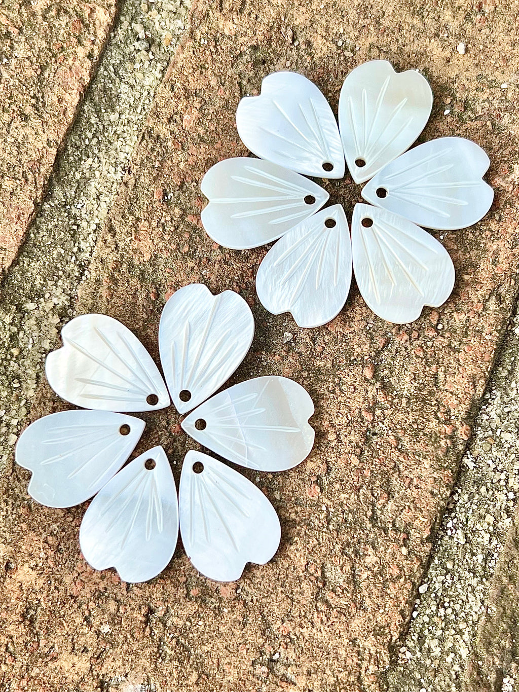 Carved Shell Petals 18x13mm