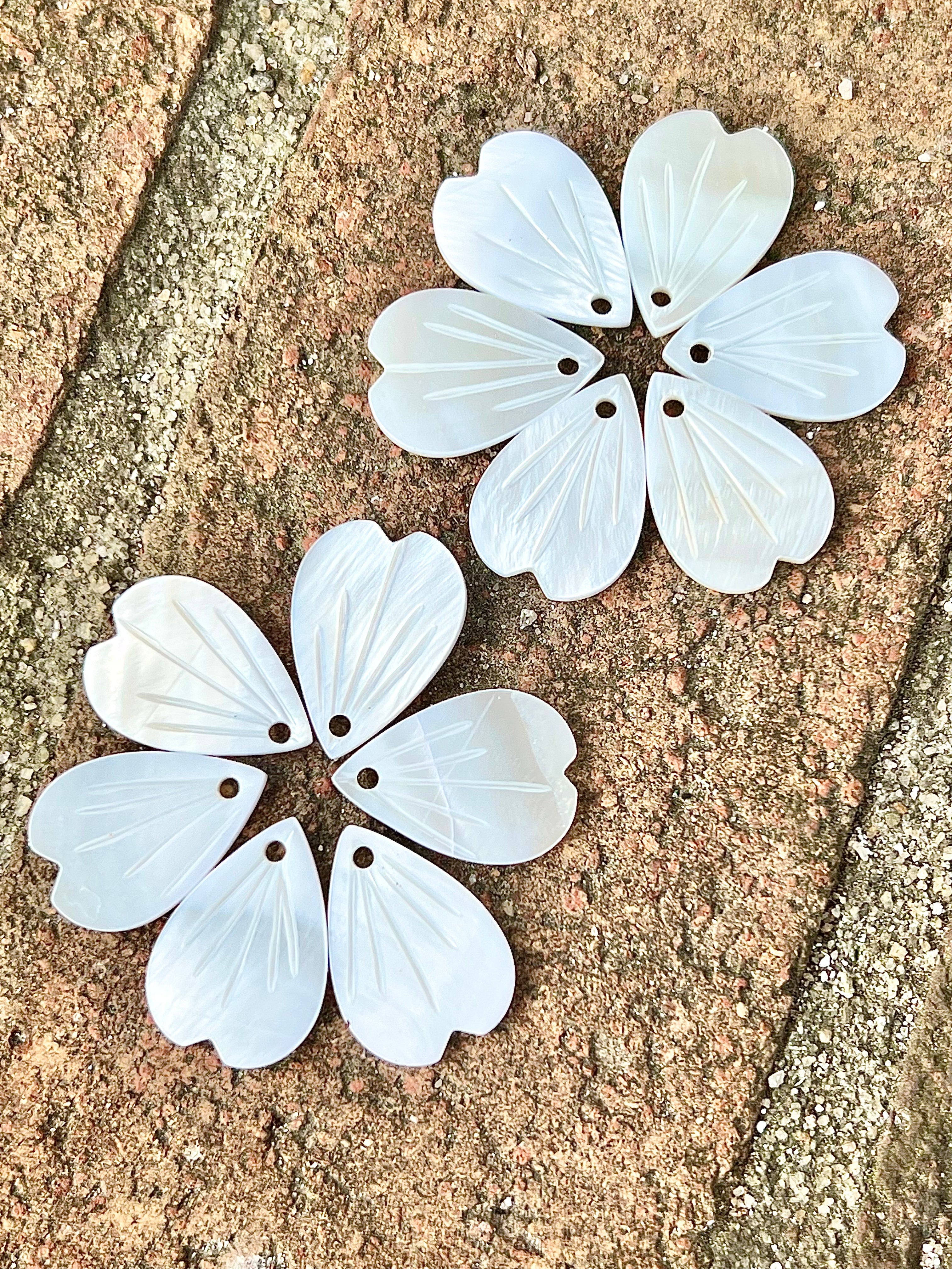Carved Shell Petals 18x13mm